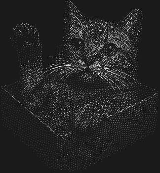 Рисунок из страз «Кот в коробке» — это 5837 искрящихся капель света, замерших в изображении пушистого чуда, что дразнит своей лапкой, притаившись в уютном укрытии.