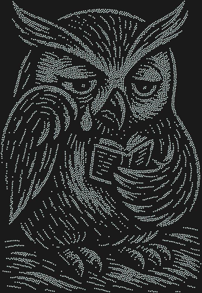 Трафарет Сова, читающая грустную книжечку — RHT_OWL3_SS3_CRYSTAL_AB_DMC