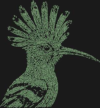 Rhinestone art kit "Hoopoe". 4484 rhinestones. This bird seems to have stepped out of the pages of a magical fairy tale—an image filled with life, light, and natural charisma.
