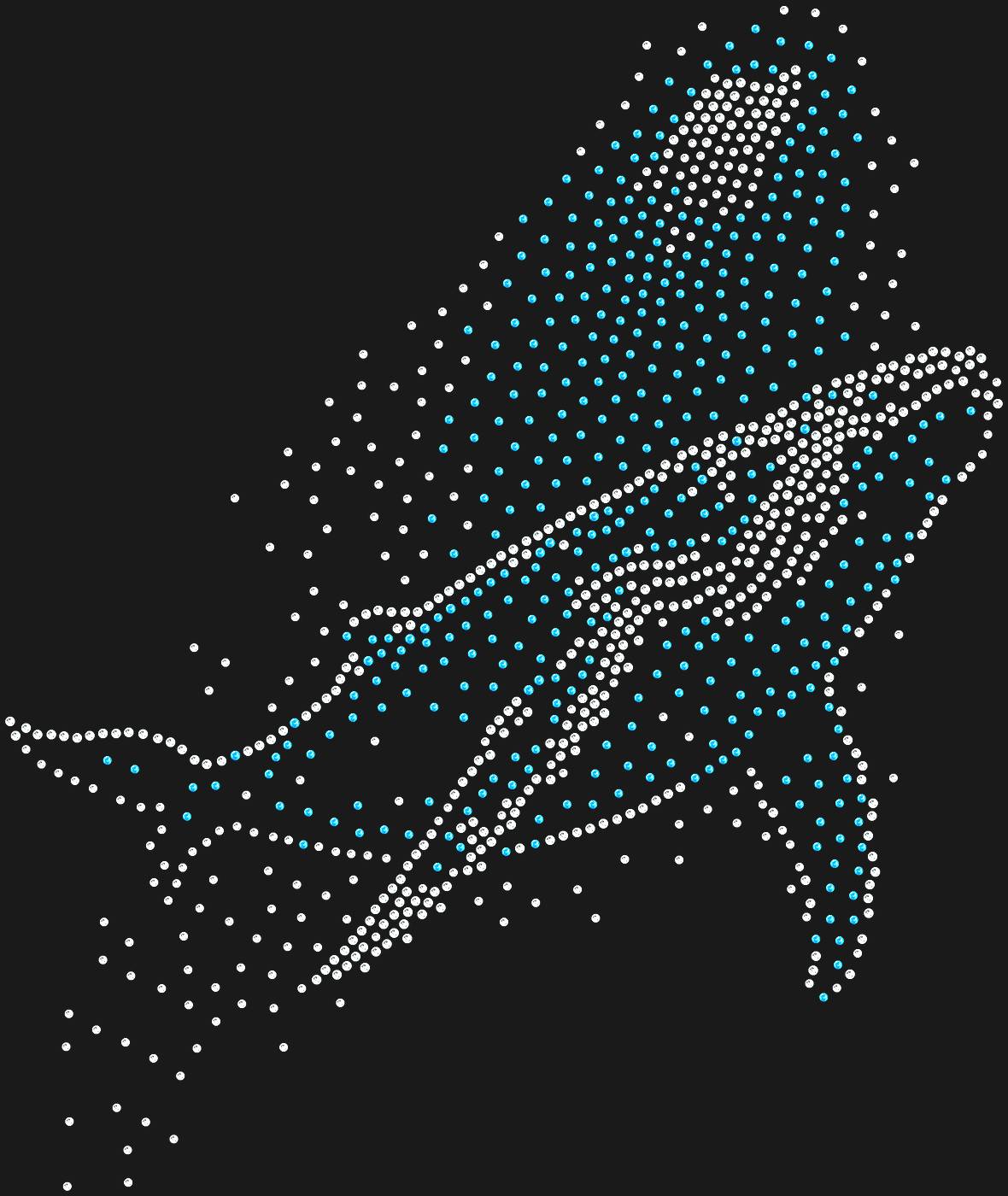 Трафарет Кит в лучше света — WHALEBEAM1