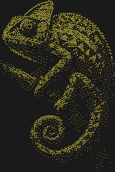 Рисунок из страз «Хамелеон», сияющий 2569 искрами, оживает на ваших глазах, переливаясь всеми оттенками радуги в каждом из своих чешуек-алмазов.