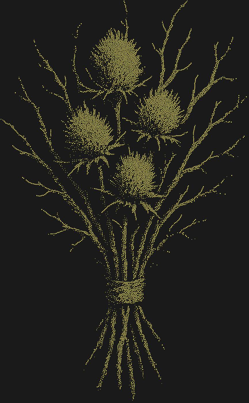 Трафарет Чертополох — THISTLE1