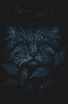 «Манул», сотканный из 8366 искрящихся страз, – это застывший миг дикой грации, взгляд, полный древней мудрости, пронзающий душу из-за мерцающих кустов.