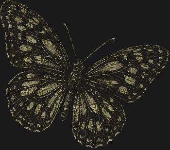 Рисунок из страз по номерам «Бабочка» с 7550 мерцающими стразами — это танец света на крыльях мечты, что оживает в ваших руках, даря волшебство каждому мгновению творчества.