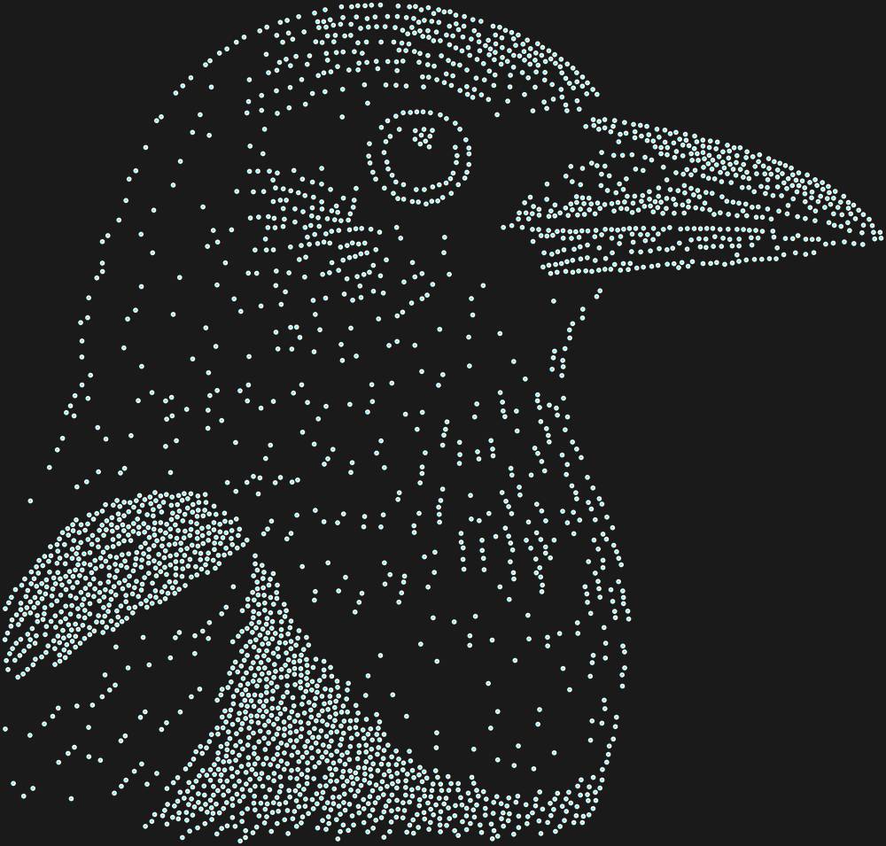 Трафарет Сорока — RHT_MAGPIE1_SS10_CRYSTAL_AB_DMC