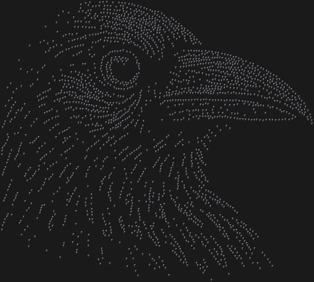Трафарет Ворон — RHT_RAVEN1_SS16_JET_BLACK
