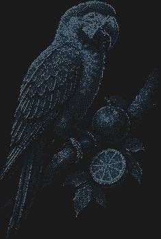 Трафарет из страз «Попугай ара», мерцающий 5951 огоньком, подарит вашему шедевру тропический полёт ярких красок и сияющей радости.