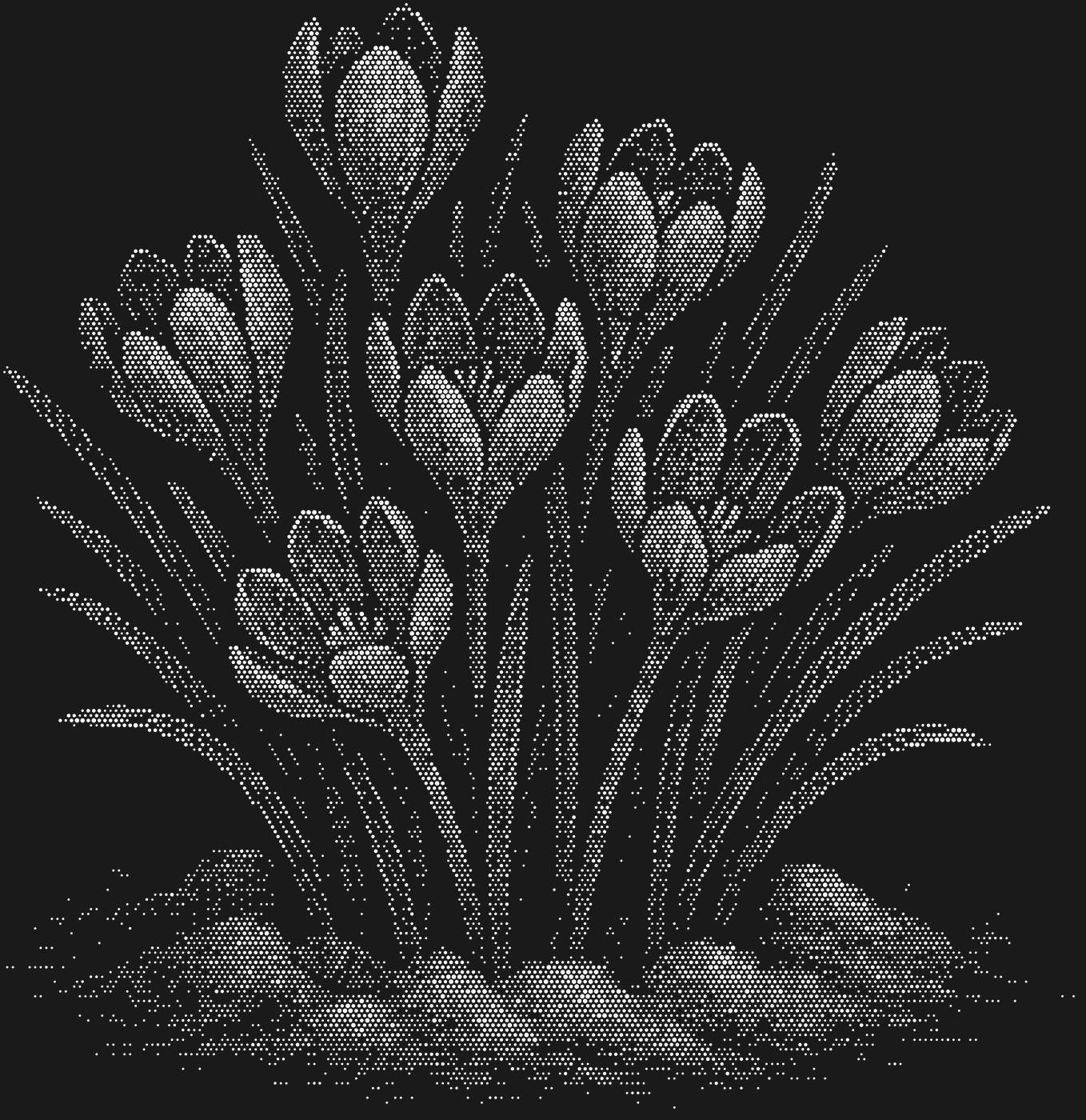 Трафарет Подснежники — SNOWDROPBOUQUET1