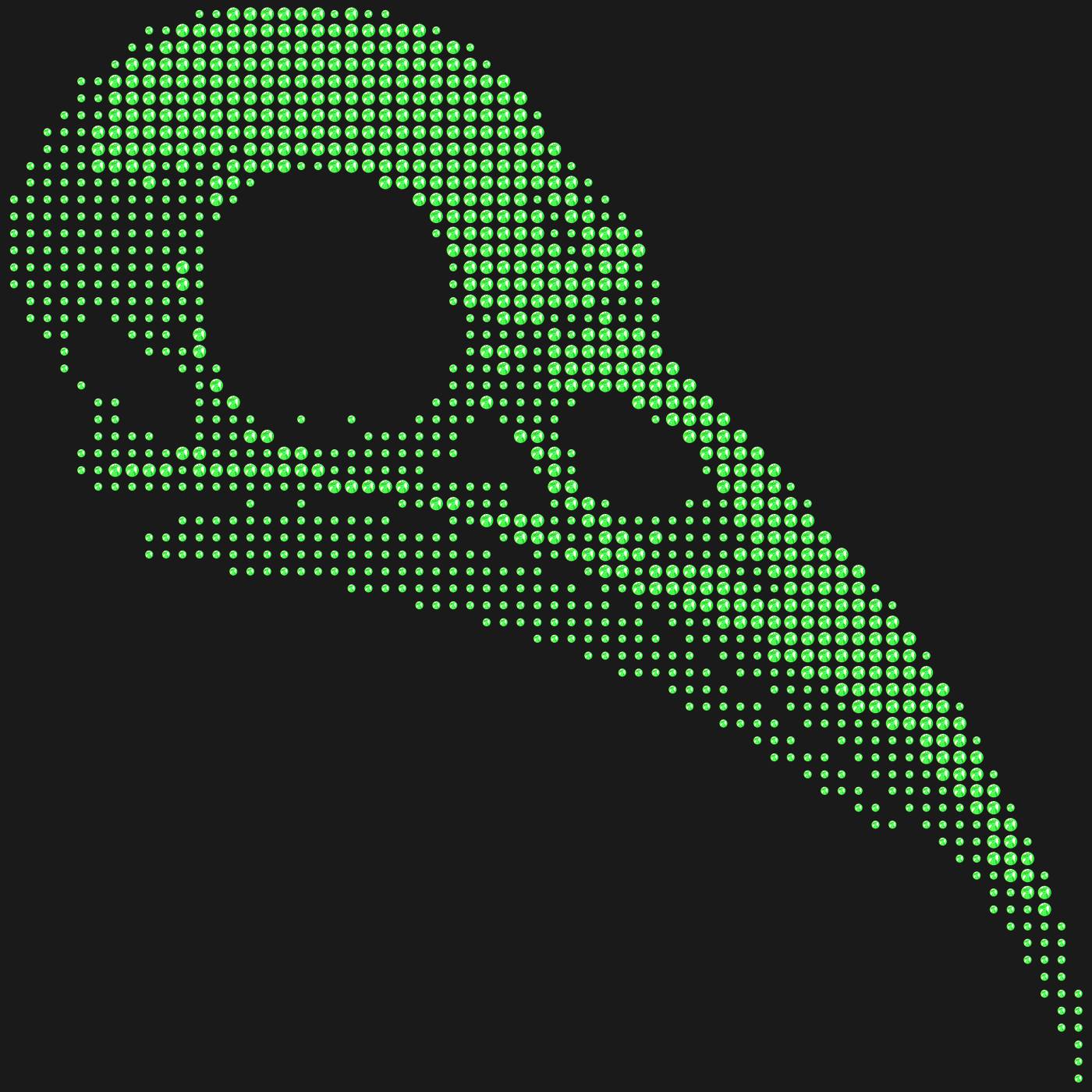 Трафарет Череп птицы — BIRDSKULL1