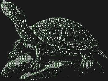 Рисунок из страз «Красноухая черепаха на камне» — это 5379 искрящихся капель света, запечатлевших безмятежный миг изящной грации, согретой солнцем.