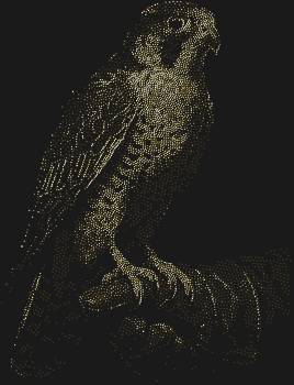 Охотничий сокол, сияющий 5208 стразами, зовёт вас в мир грации и величия, где каждый блик — это шепот свободы.