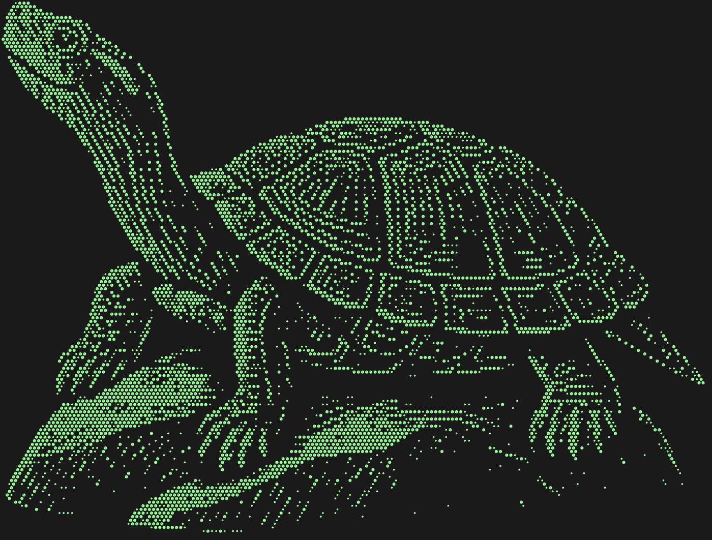 Трафарет Красноухая черепаха на камне — TURTLESTONE1