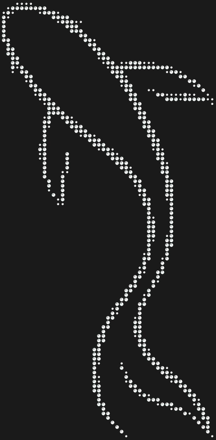 Трафарет Карп кои — KOICARP1