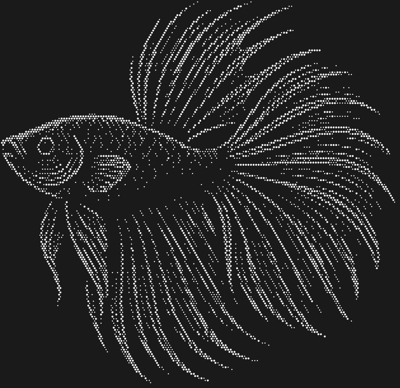 Трафарет Бойцовая рыбка петушок — BETTAFISH1