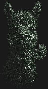 Рисунок из страз Альпака, сияющий 4809 огнями, озарит ваш интерьер нежным взглядом и теплом, словно уютный шарф её образа.