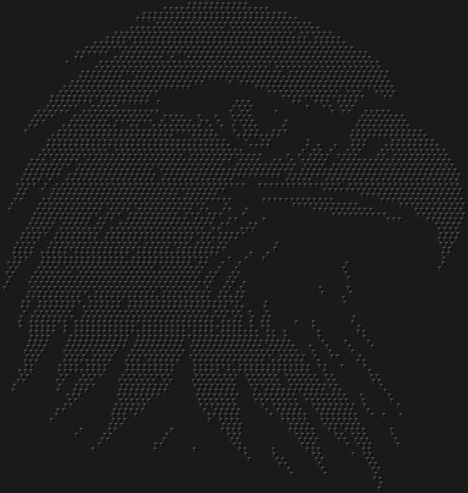 Трафарет Орел — RHT_EAGLE1_SS10_JET_BLACK