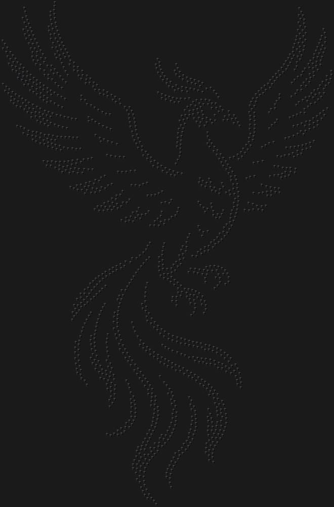 Трафарет Птица феникс — RHT_FENIX1_SS16_JET_BLACK