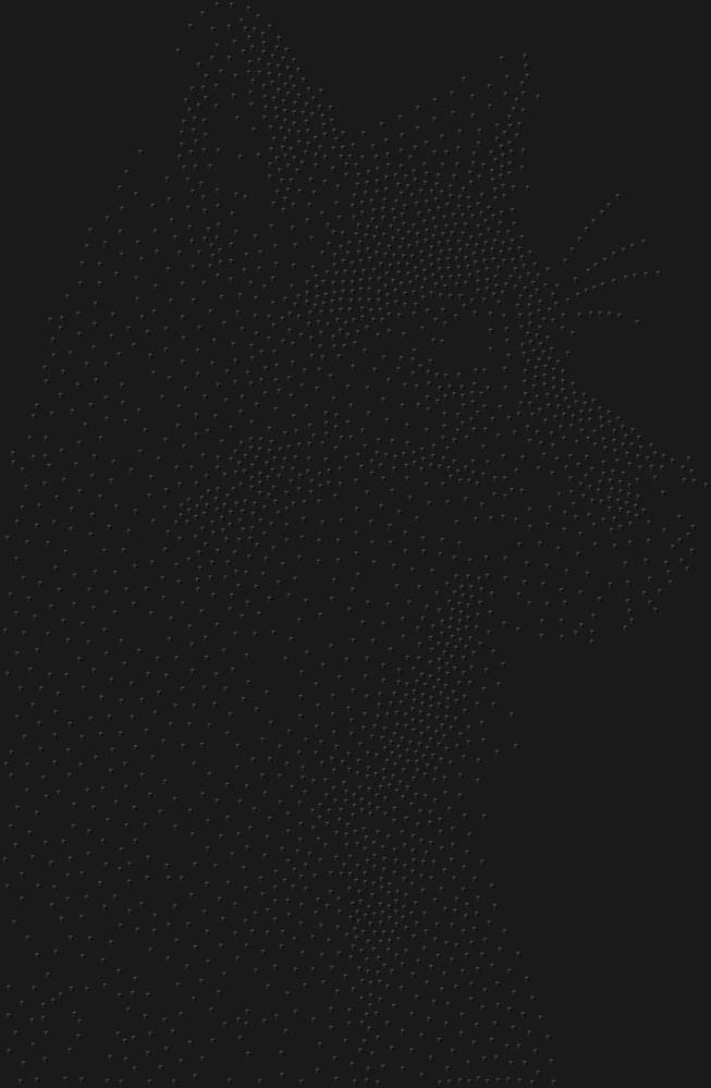 Трафарет Лисица — RHT_FOX2_SS16_JET_BLACK