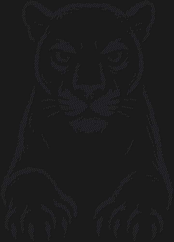 Трафарет Пантера — RHT_PANTHER1_SS10_JET_BLACK