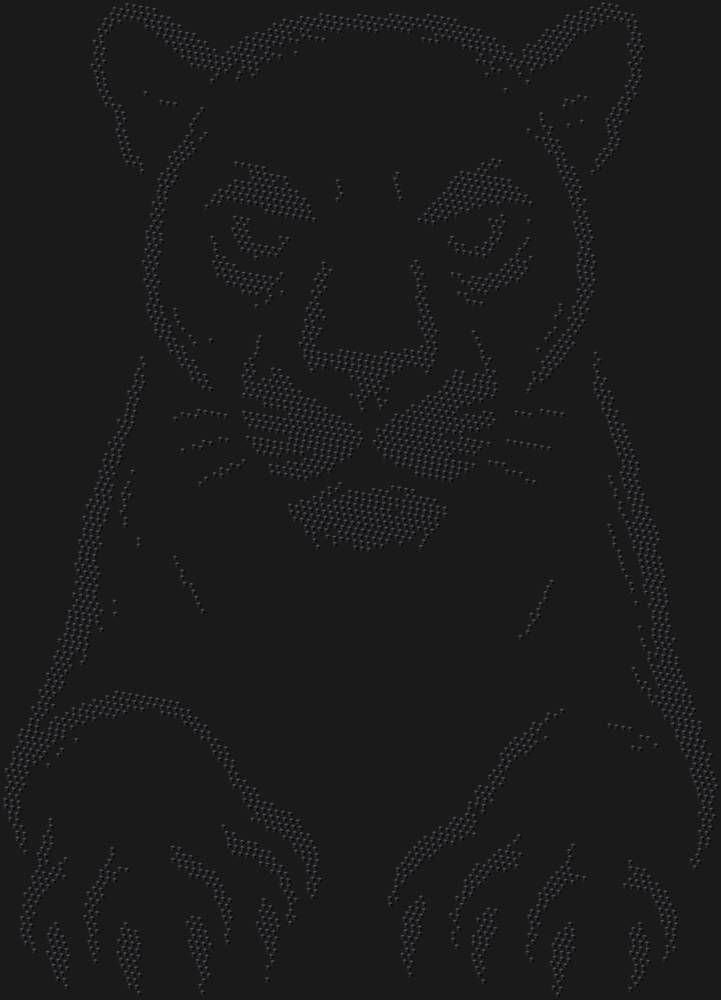 Трафарет Пантера — RHT_PANTHER1_SS16_JET_BLACK