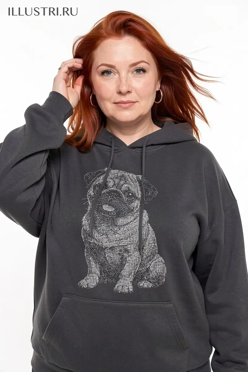 Визуализация Мопс