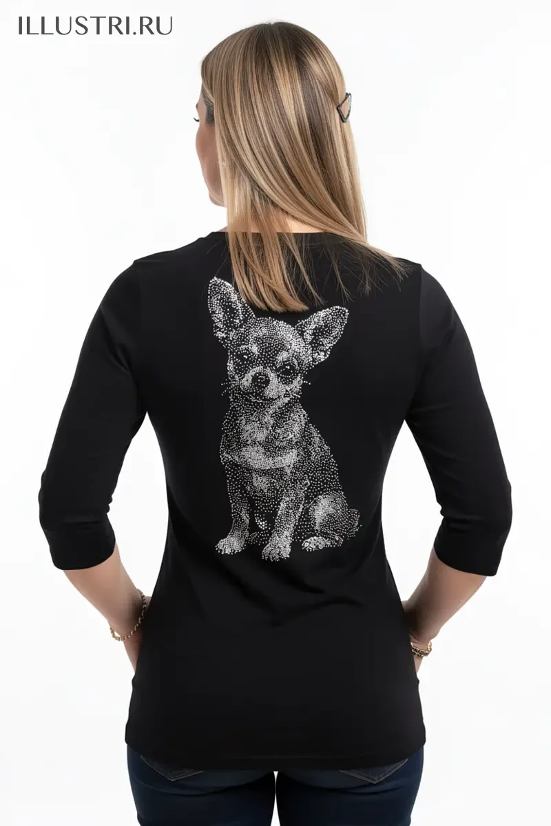 Визуализация Чихуахуа