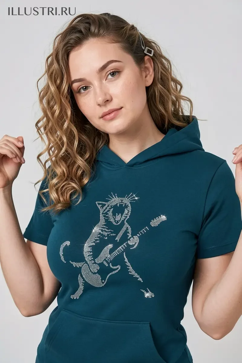 Визуализация Кот с гитарой